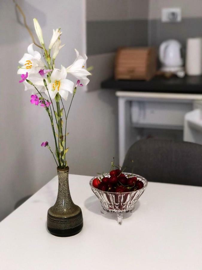 Monte B. Exclusive Apartment Rovinj Dış mekan fotoğraf