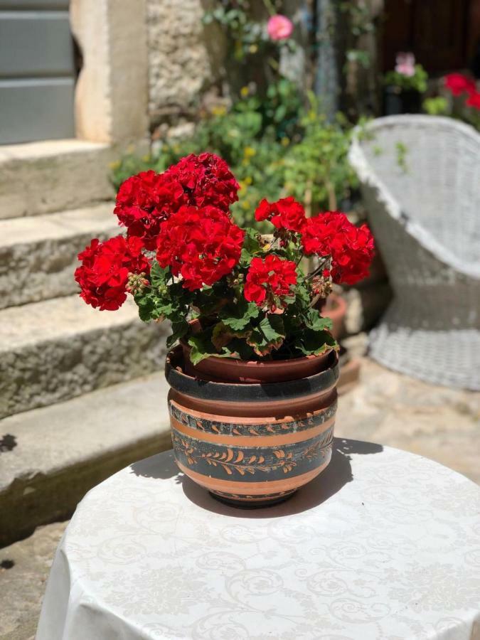 Monte B. Exclusive Apartment Rovinj Dış mekan fotoğraf